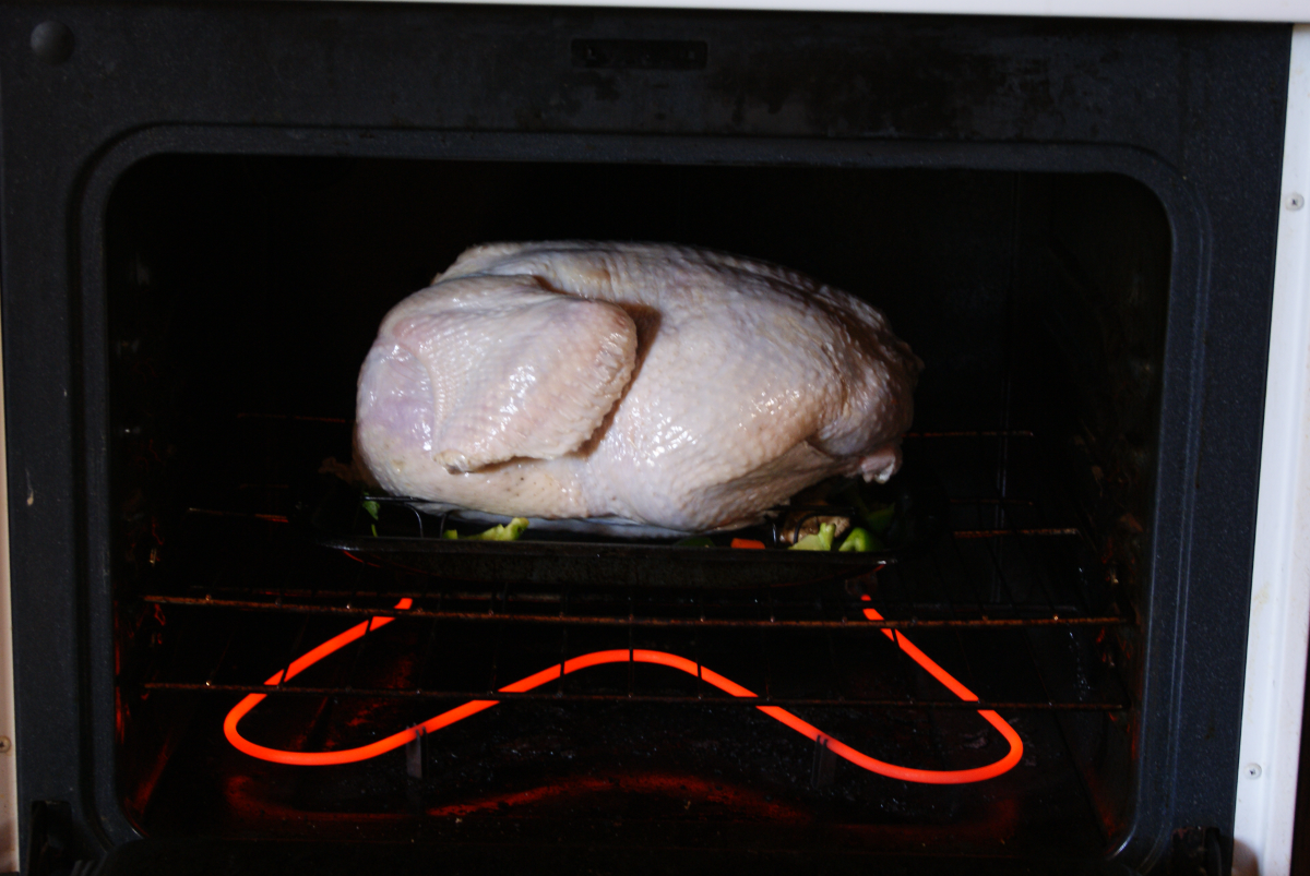 Turkey in the oven with a red oven bake element 